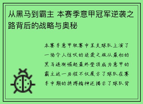从黑马到霸主 本赛季意甲冠军逆袭之路背后的战略与奥秘
